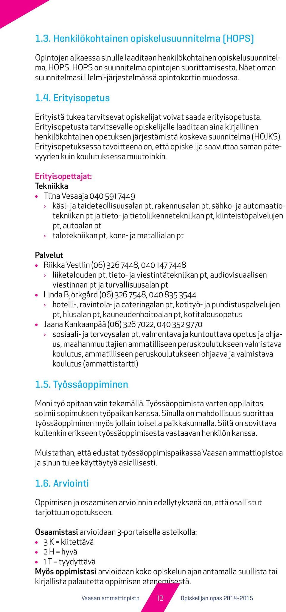 Erityisopetusta tarvitsevalle opiskelijalle laaditaan aina kirjallinen henkilökohtainen opetuksen järjestämistä koskeva suunnitelma (HOJKS).