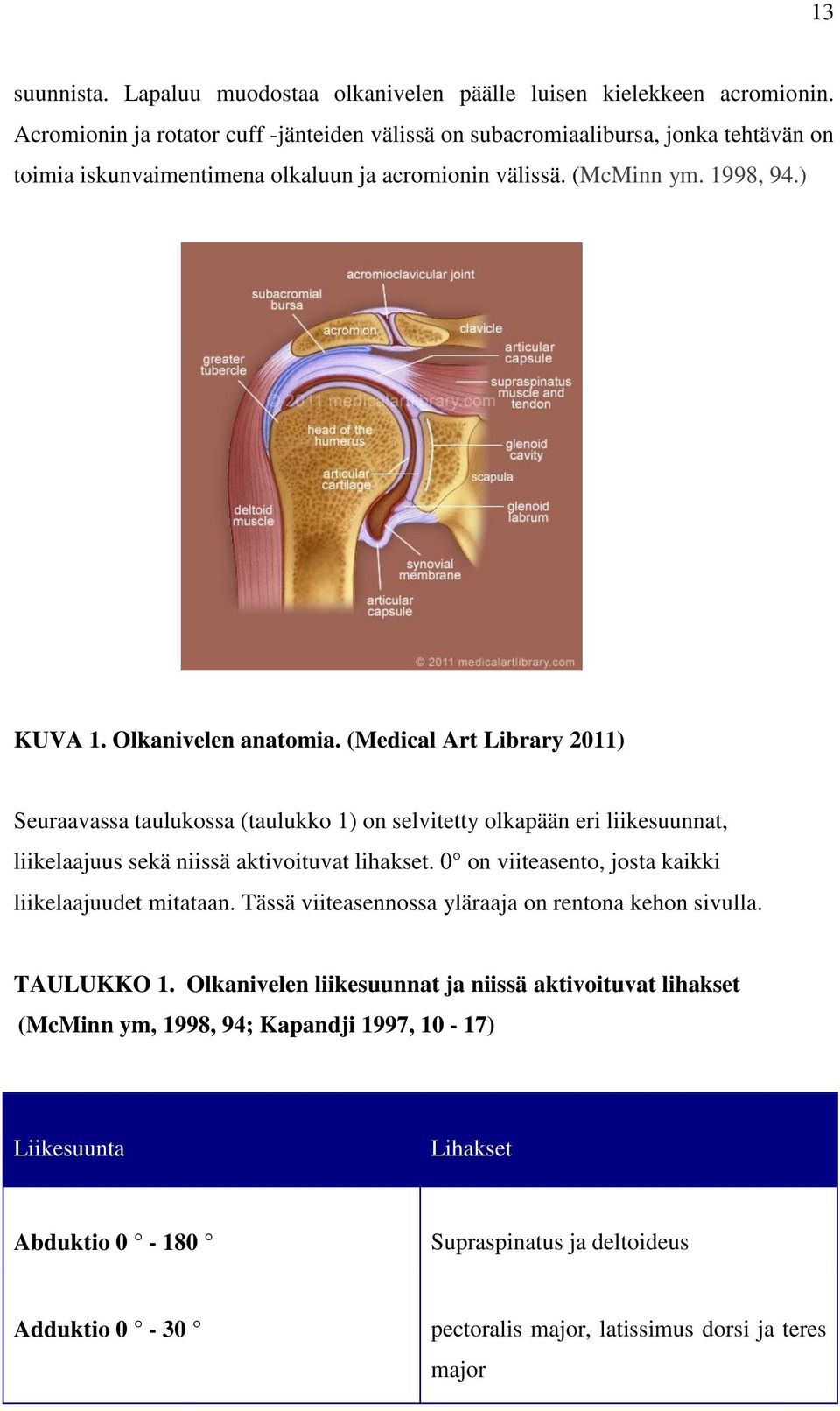 (Medical Art Library 2011) Seuraavassa taulukossa (taulukko 1) on selvitetty olkapään eri liikesuunnat, liikelaajuus sekä niissä aktivoituvat lihakset.