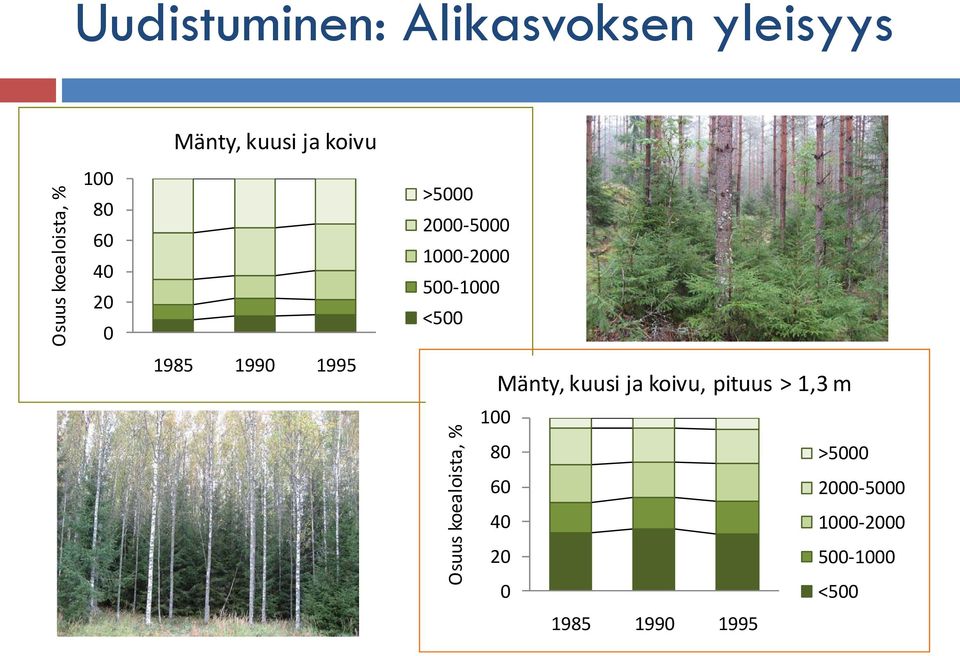 1000-2000 500-1000 <500 Osuus koealoista, % Mänty, kuusi ja koivu,