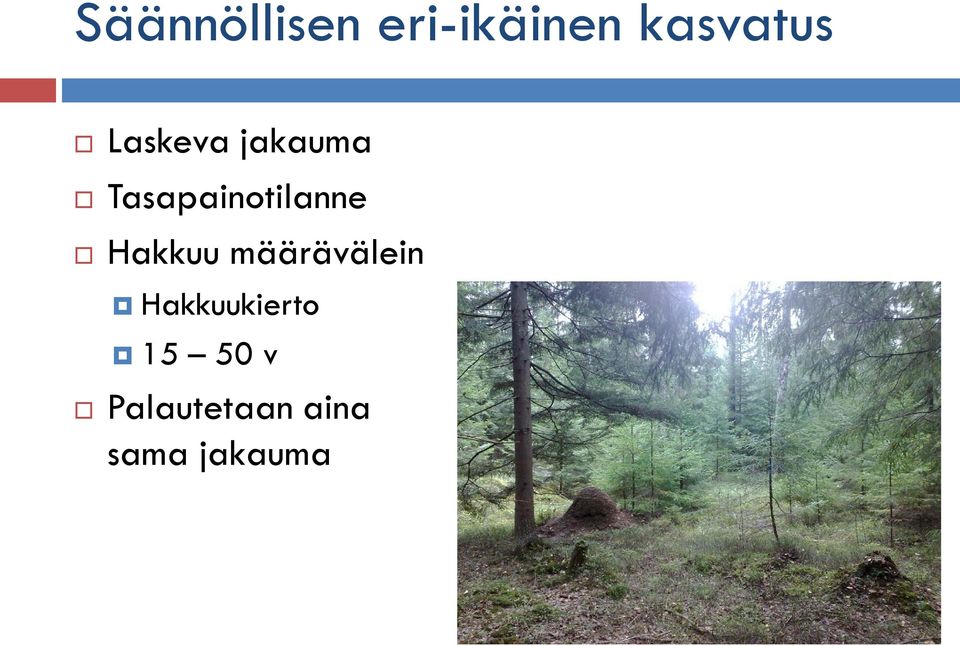 Hakkuu määrävälein Hakkuukierto