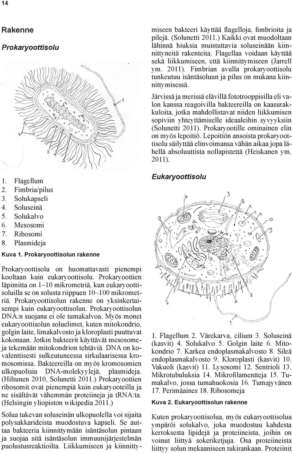 Prokaryoottien läpimitta on 1 10 mikrometriä, kun eukaryoottisoluilla se on solusta riippuen 10 100 mikrometriä. Prokaryoottisolun rakenne on yksinkertaisempi kuin eukaryoottisolun.