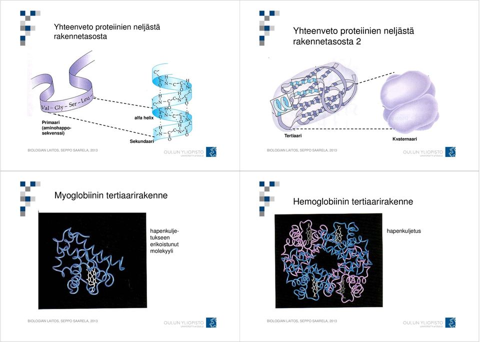 Sekundaari Tertiaari Kvaternaari Myoglobiinin tertiaarirakenne