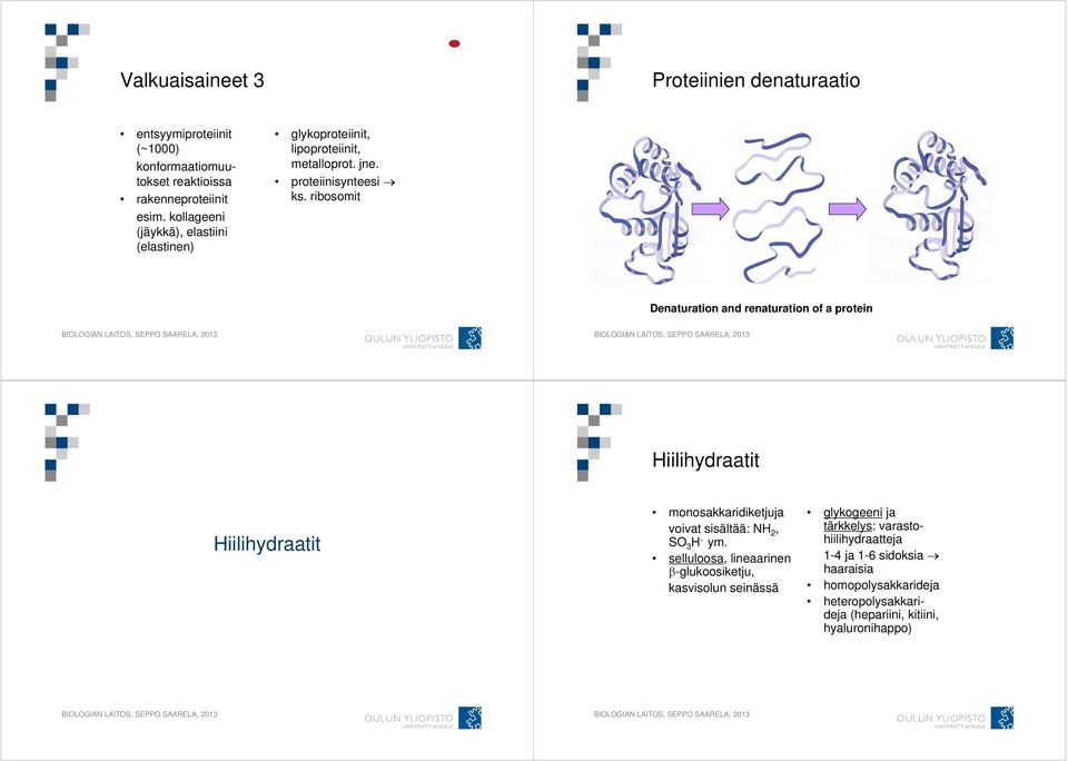 ribosomit Denaturation and renaturation of a protein Hiilihydraatit Hiilihydraatit monosakkaridiketjuja voivat sisältää: NH 2, SO 3 H - ym.