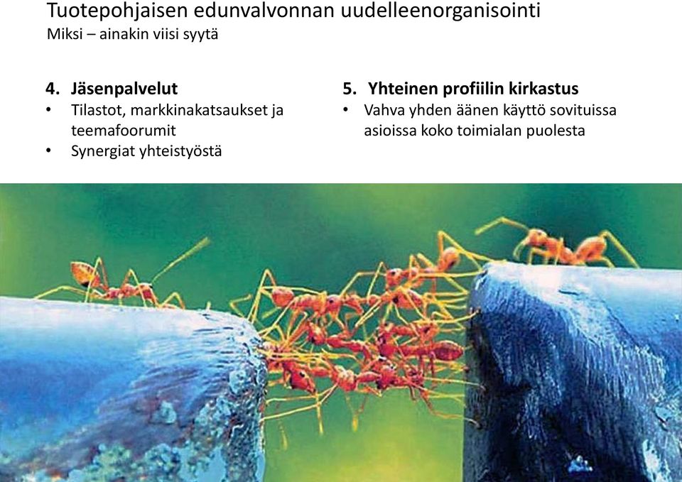 Jäsenpalvelut Tilastot, markkinakatsaukset ja teemafoorumit