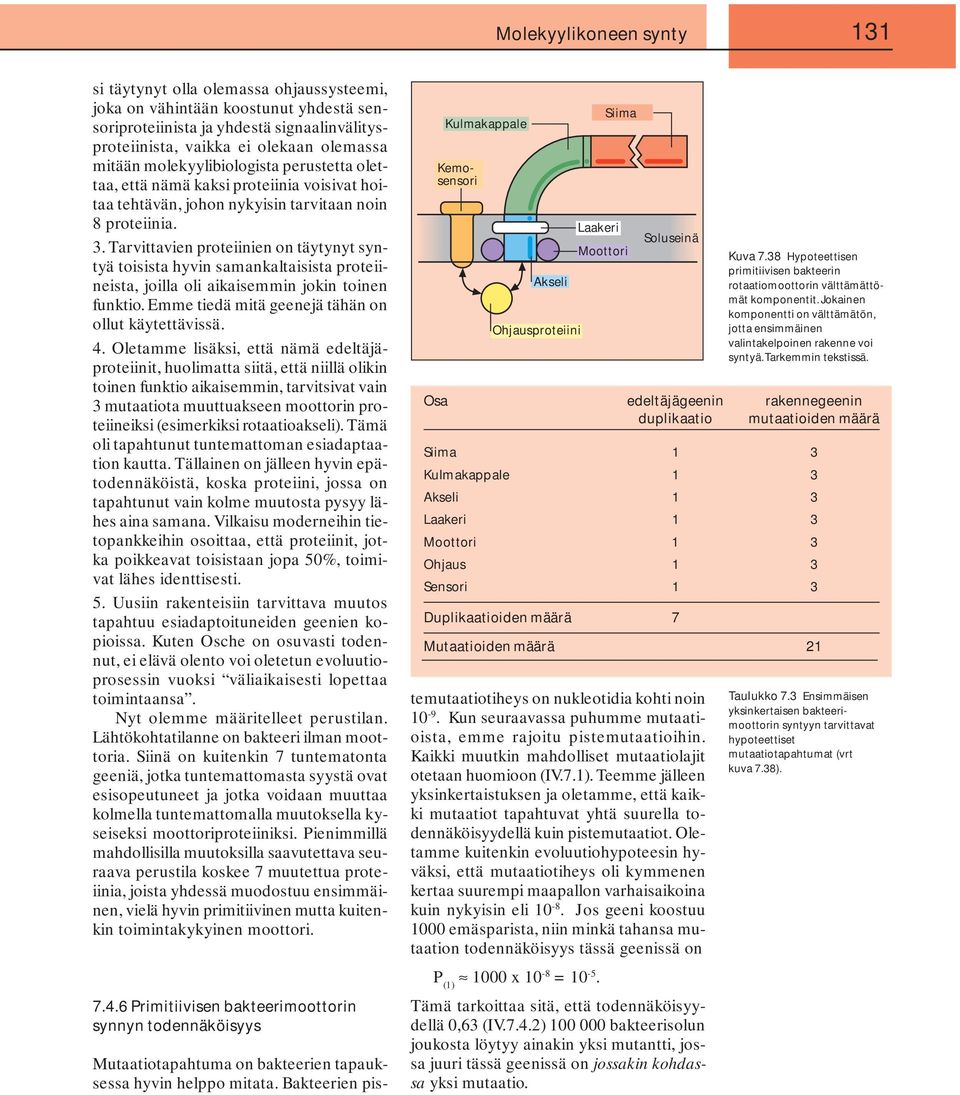 Tarvittavien proteiinien on täytynyt syntyä toisista hyvin samankaltaisista proteiineista, joilla oli aikaisemmin jokin toinen funktio. Emme tiedä mitä geenejä tähän on ollut käytettävissä. 4.