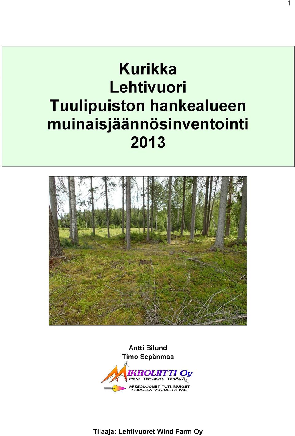 muinaisjäännösinventointi 2013