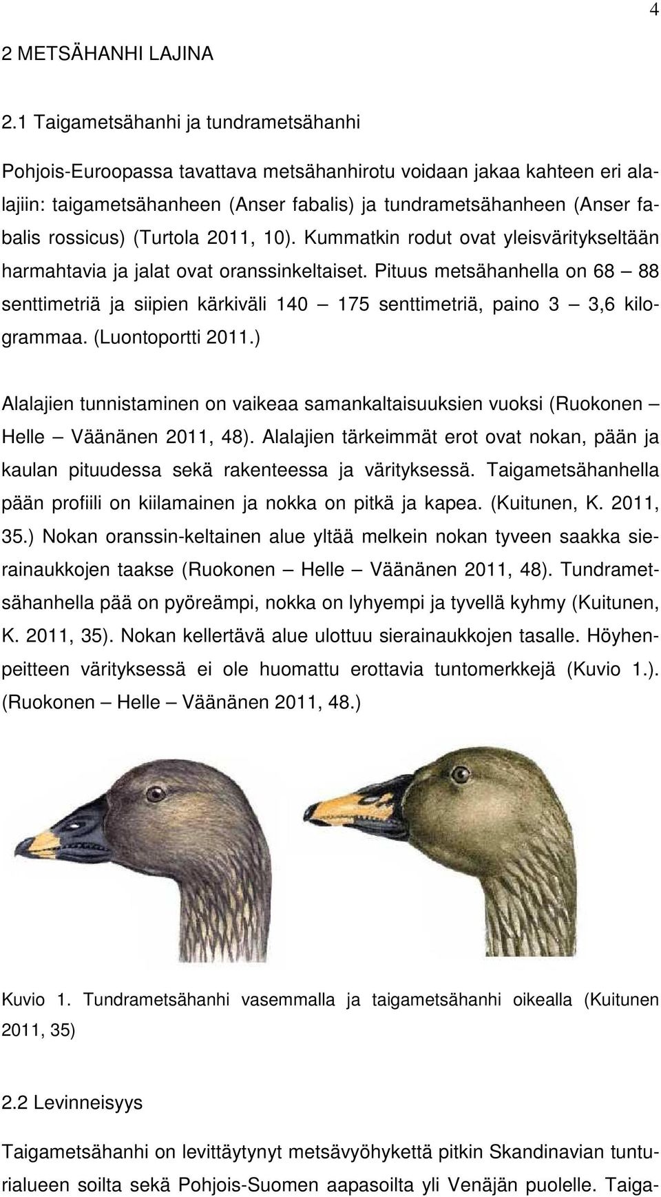 (Turtola 2011, 10). Kummatkin rodut ovat yleisväritykseltään harmahtavia ja jalat ovat oranssinkeltaiset.