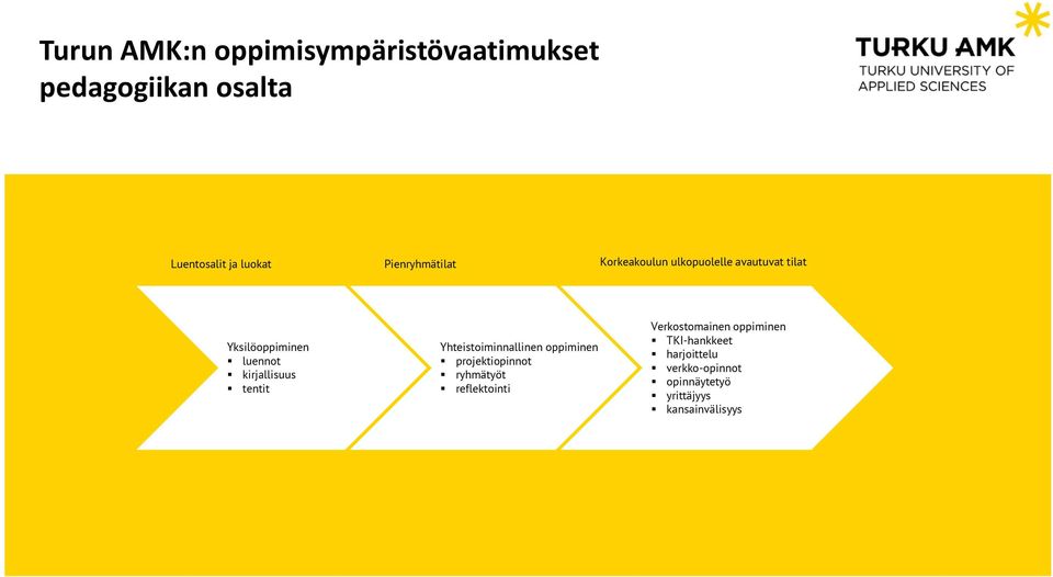 kirjallisuus tentit Yhteistoiminnallinen oppiminen projektiopinnot ryhmätyöt reflektointi