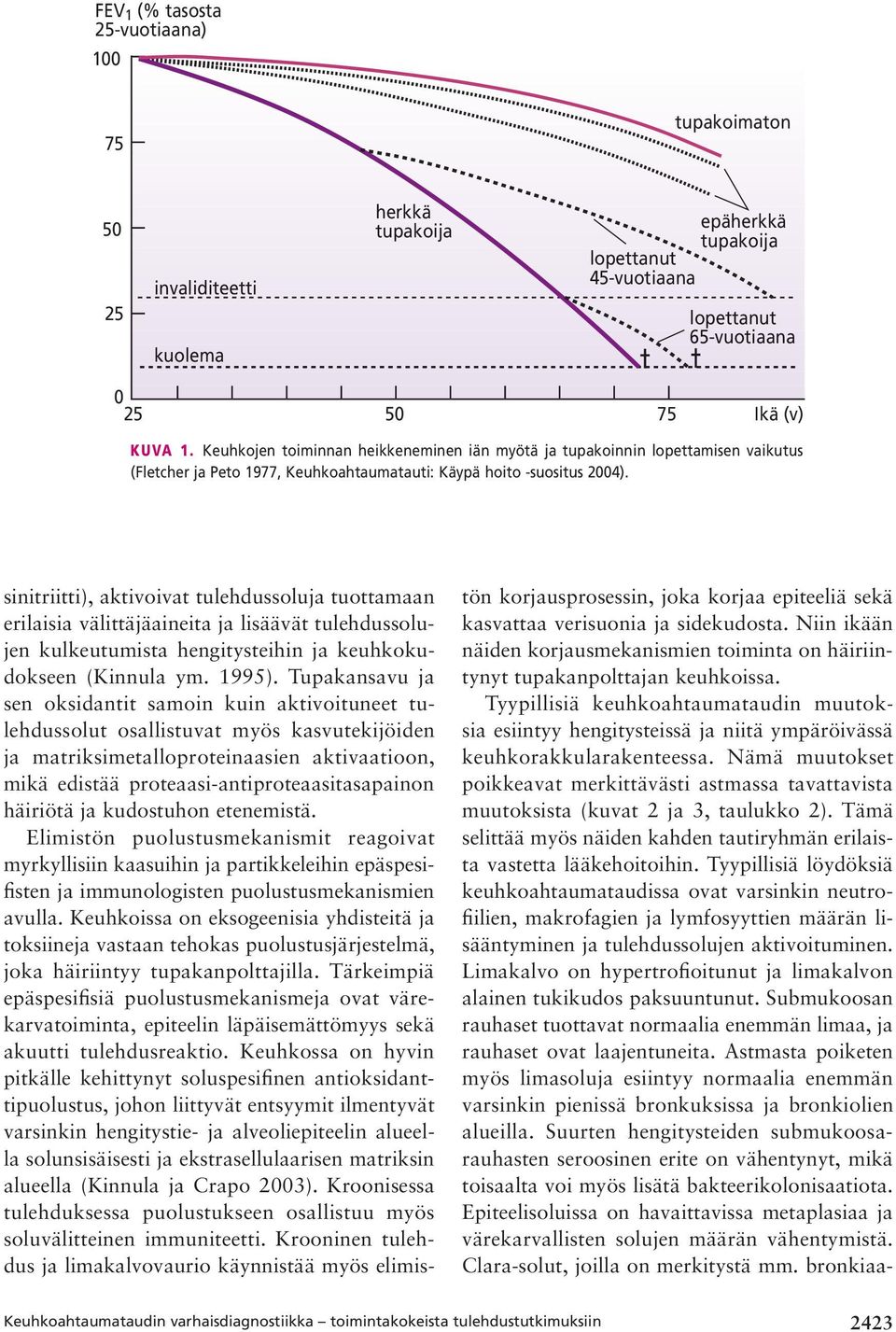 sinitriitti), aktivoivat tulehdussoluja tuottamaan erilaisia välittäjäaineita ja lisäävät tulehdussolujen kulkeutumista hengitysteihin ja keuhkokudokseen (Kinnula ym. 1995).