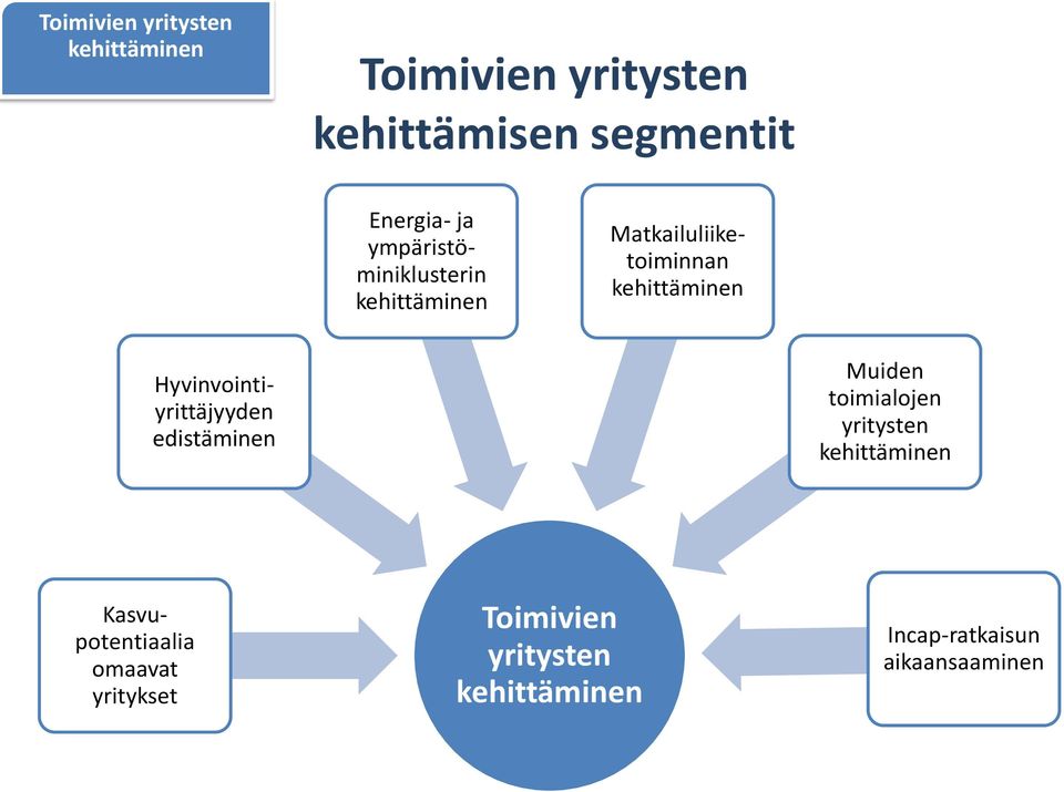 Hyvinvointiyrittäjyyden edistäminen Muiden toimialojen yritysten kehittäminen