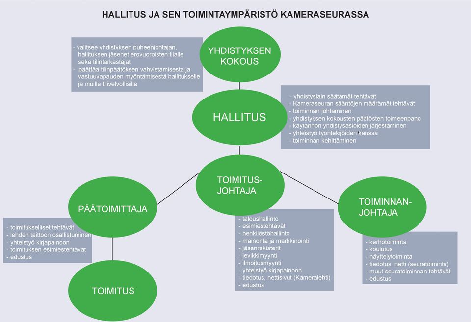 yhdistyksen kokousten päätösten toimeenpano - käytännön yhdistysasioiden järjestäminen - yhteistyö työntekijöiden kanssa - toiminnan kehittäminen - toimitukselliset tehtävät - lehden taittoon