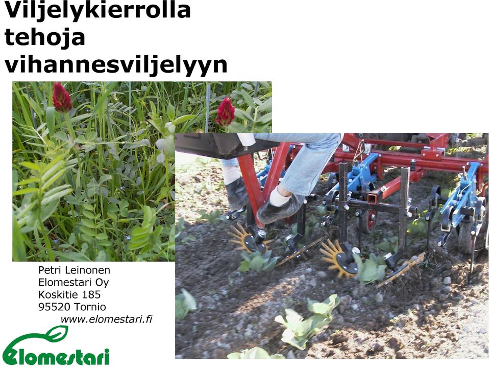 Leinonen Elomestari Oy