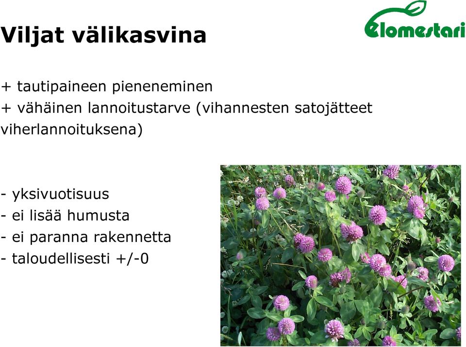 viherlannoituksena) - yksivuotisuus ei lisää