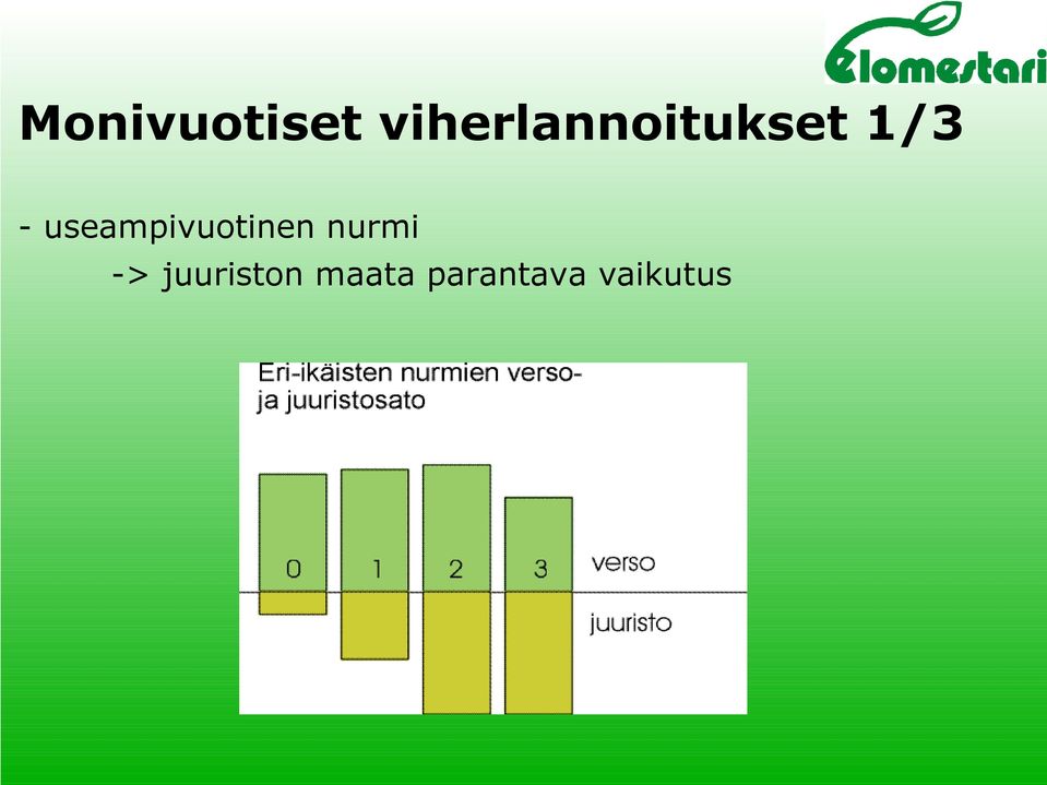 useampivuotinen nurmi