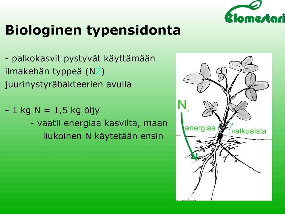 juurinystyräbakteerien avulla - 1 kg N = 1,5 kg