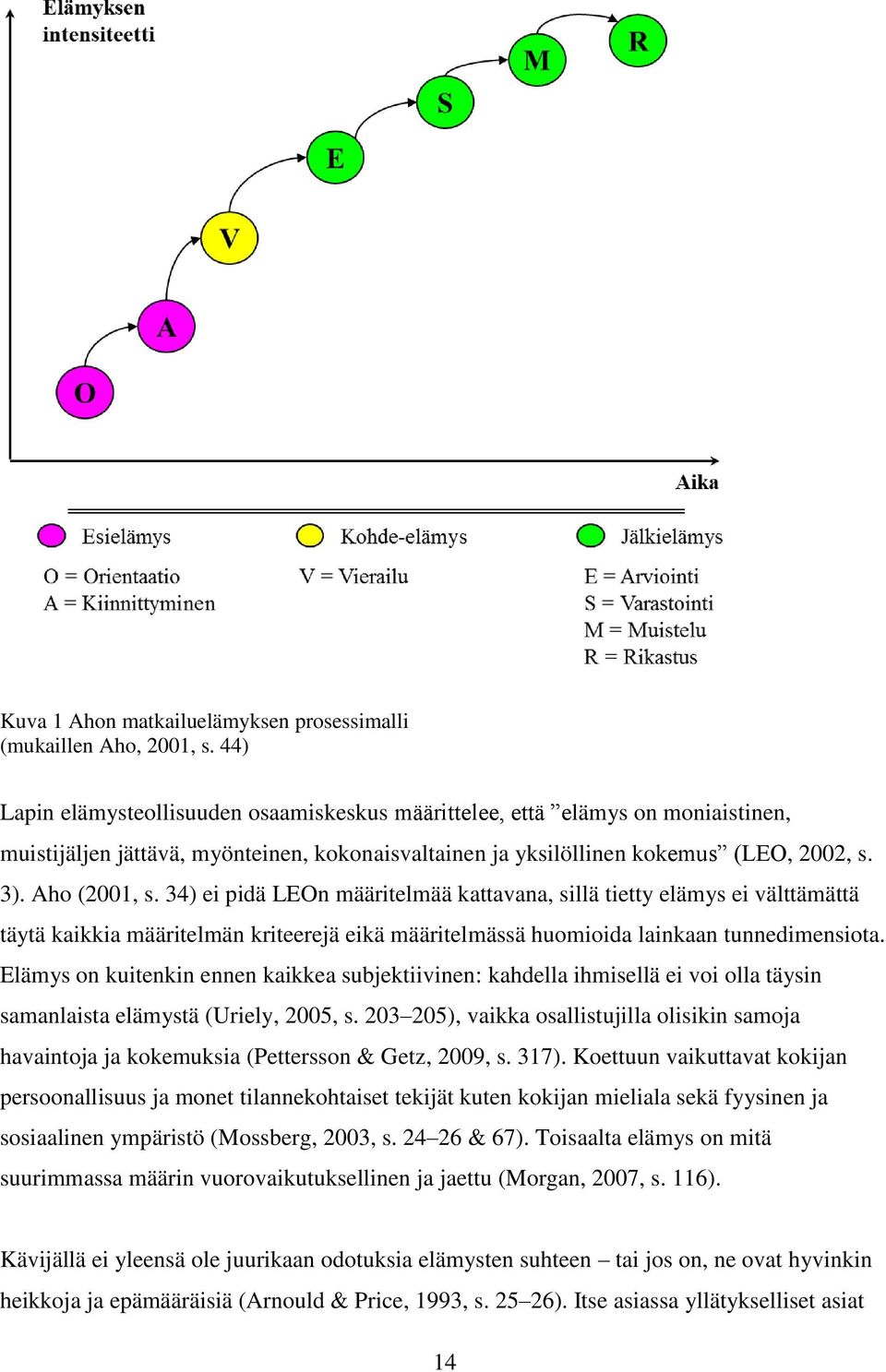 34) ei pidä LEOn määritelmää kattavana, sillä tietty elämys ei välttämättä täytä kaikkia määritelmän kriteerejä eikä määritelmässä huomioida lainkaan tunnedimensiota.