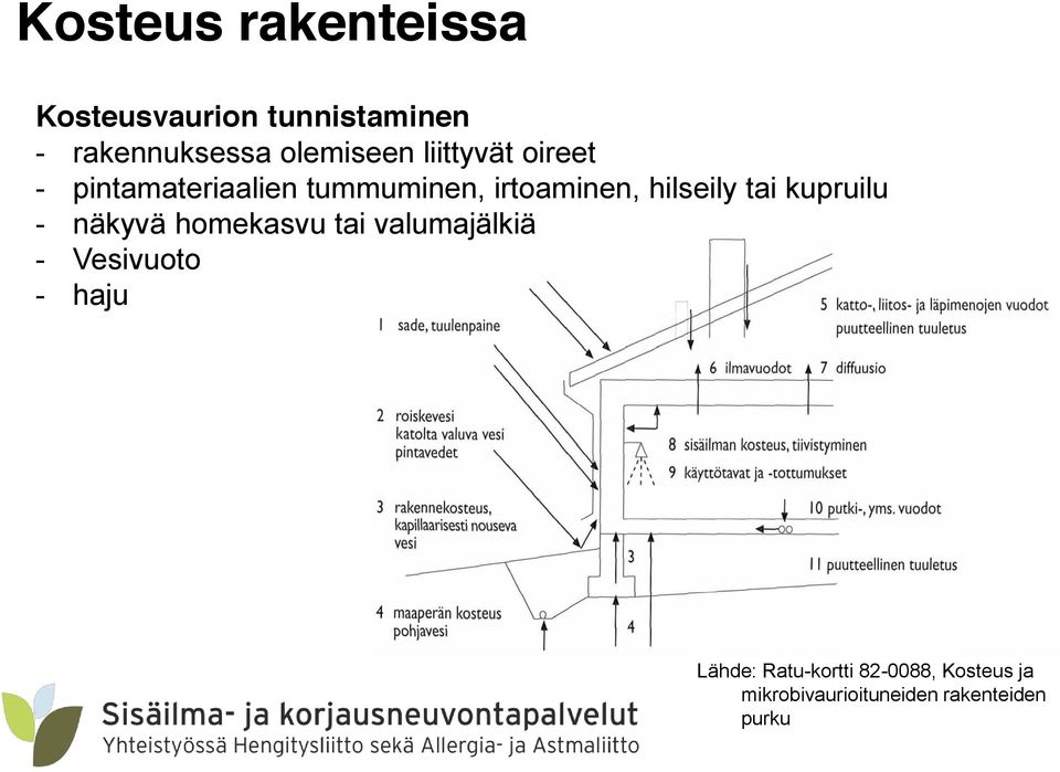 hilseily tai kupruilu - näkyvä homekasvu tai valumajälkiä - Vesivuoto -