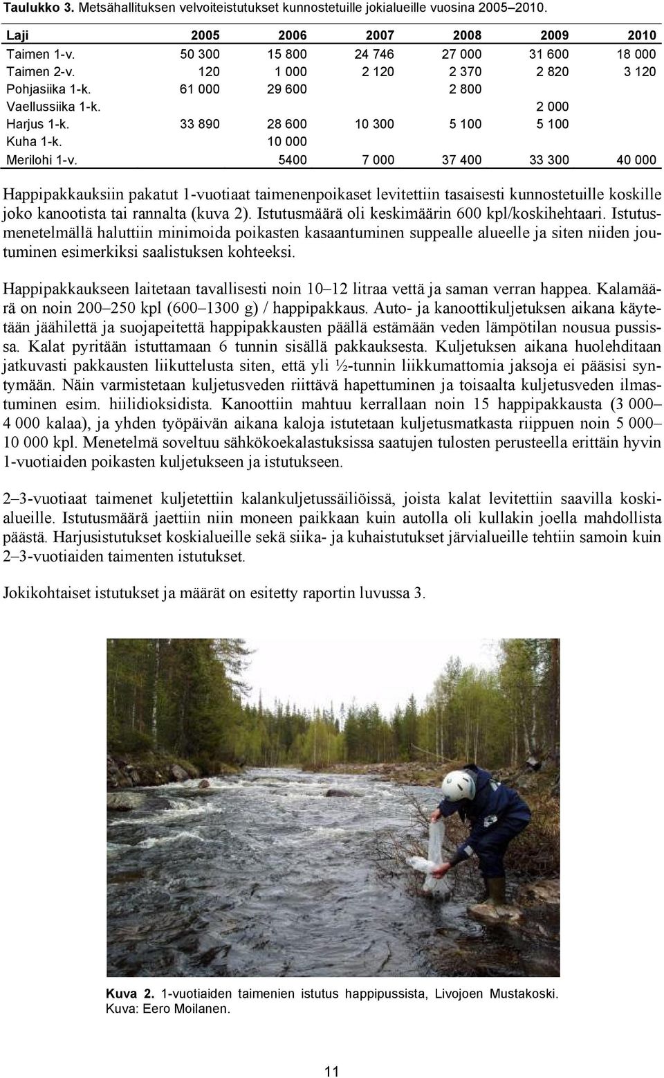 54 7 37 4 33 3 4 Happipakkauksiin pakatut 1-vuotiaat taimenenpoikaset levitettiin tasaisesti kunnostetuille koskille joko kanootista tai rannalta (kuva 2).
