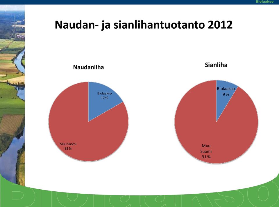 Naudanliha Sianliha