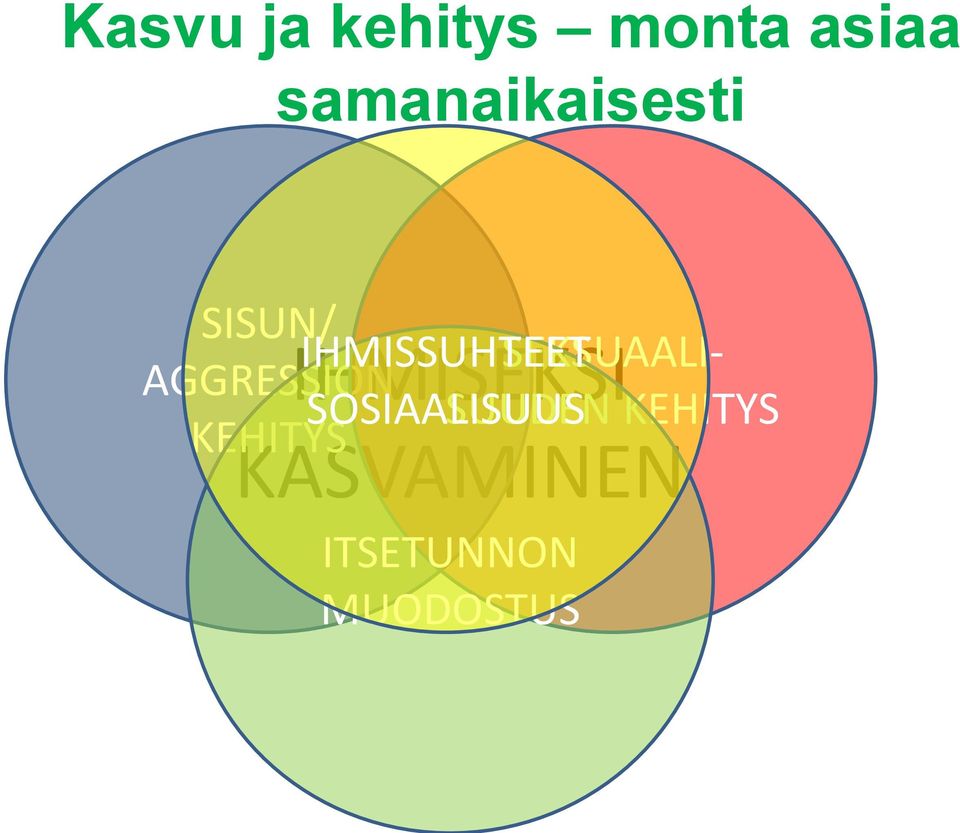 IHMISEKSI IHMISSUHTEET SEKSUAALI-