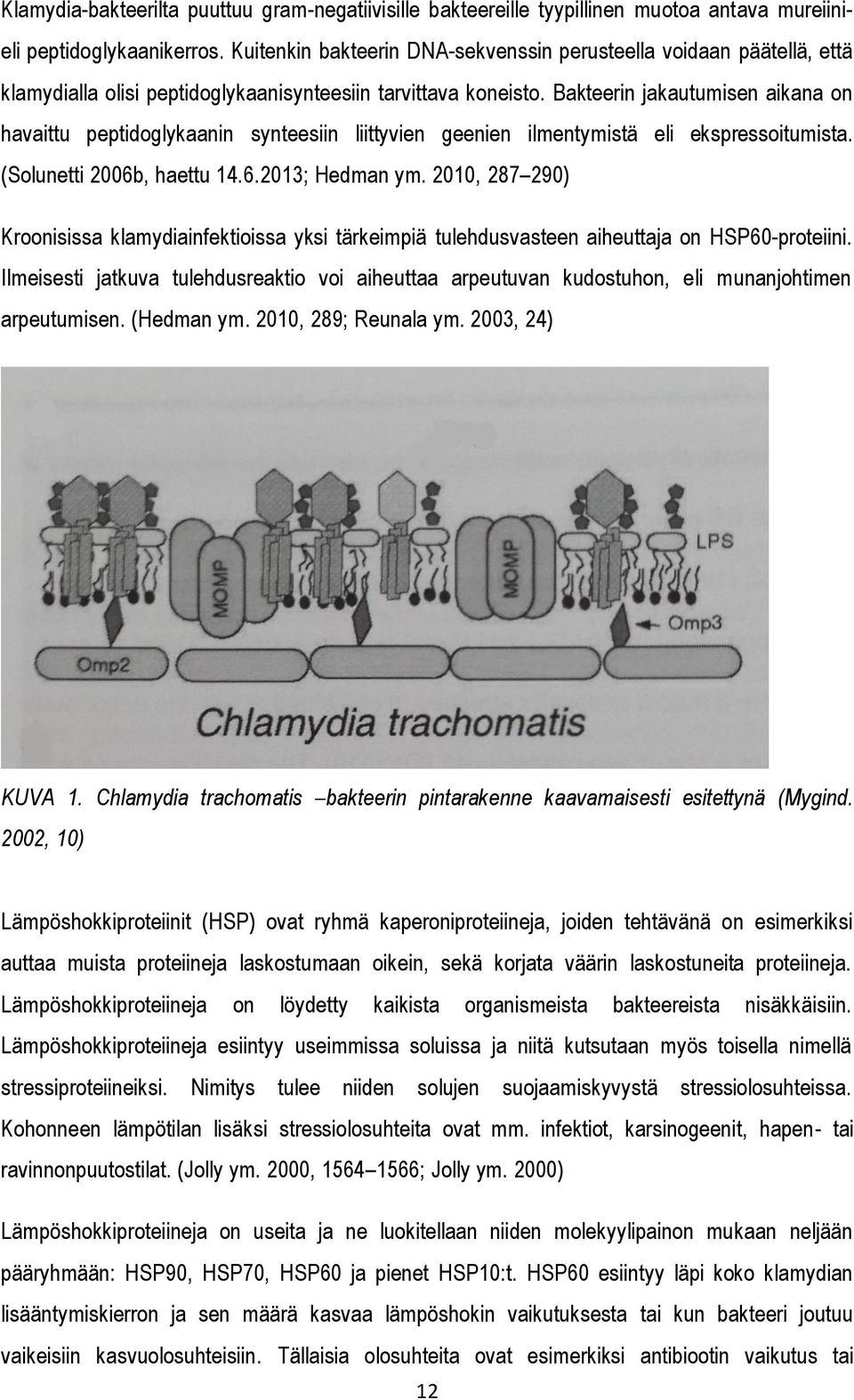 Bakteerin jakautumisen aikana on havaittu peptidoglykaanin synteesiin liittyvien geenien ilmentymistä eli ekspressoitumista. (Solunetti 2006b, haettu 14.6.2013; Hedman ym.