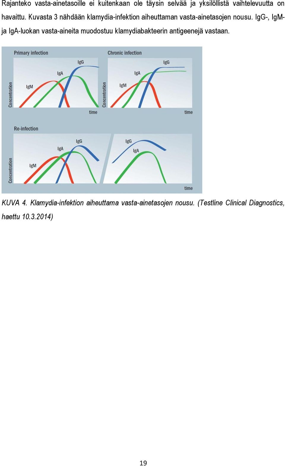IgG-, IgM- ja IgA-luokan vasta-aineita muodostuu klamydiabakteerin antigeenejä vastaan. KUVA 4.