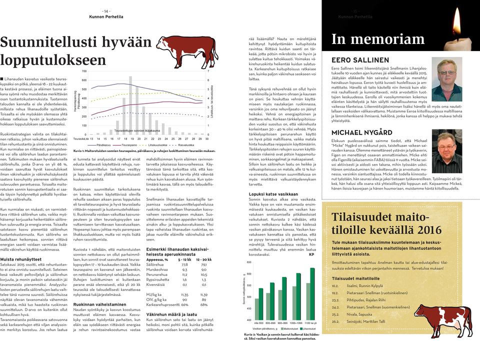 Toisaalta ei ole myöskään olemassa yhtä oikeaa ratkaisua hyvän ja kustannustehokkaan lopputuloksen saavuttamiseksi.