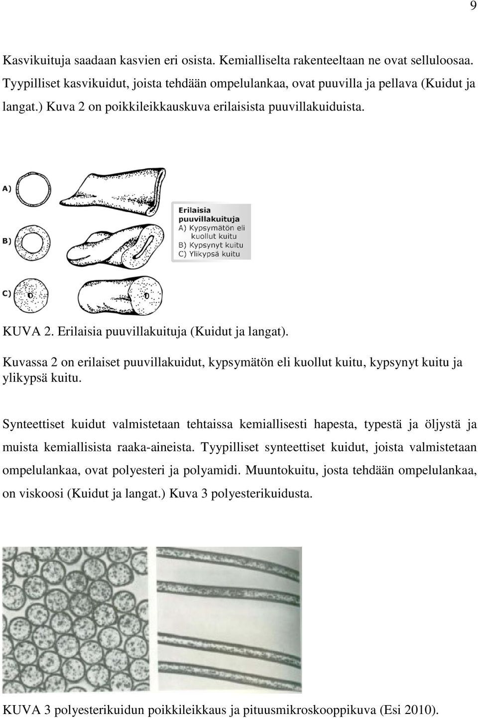 Kuvassa 2 on erilaiset puuvillakuidut, kypsymätön eli kuollut kuitu, kypsynyt kuitu ja ylikypsä kuitu.