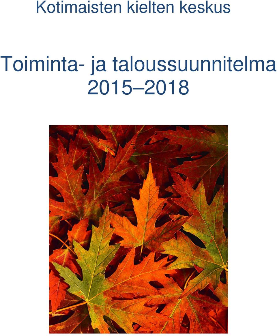 Toiminta- ja