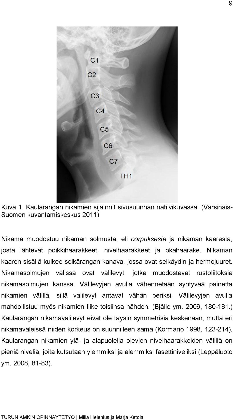 Nikaman kaaren sisällä kulkee selkärangan kanava, jossa ovat selkäydin ja hermojuuret. Nikamasolmujen välissä ovat välilevyt, jotka muodostavat rustoliitoksia nikamasolmujen kanssa.