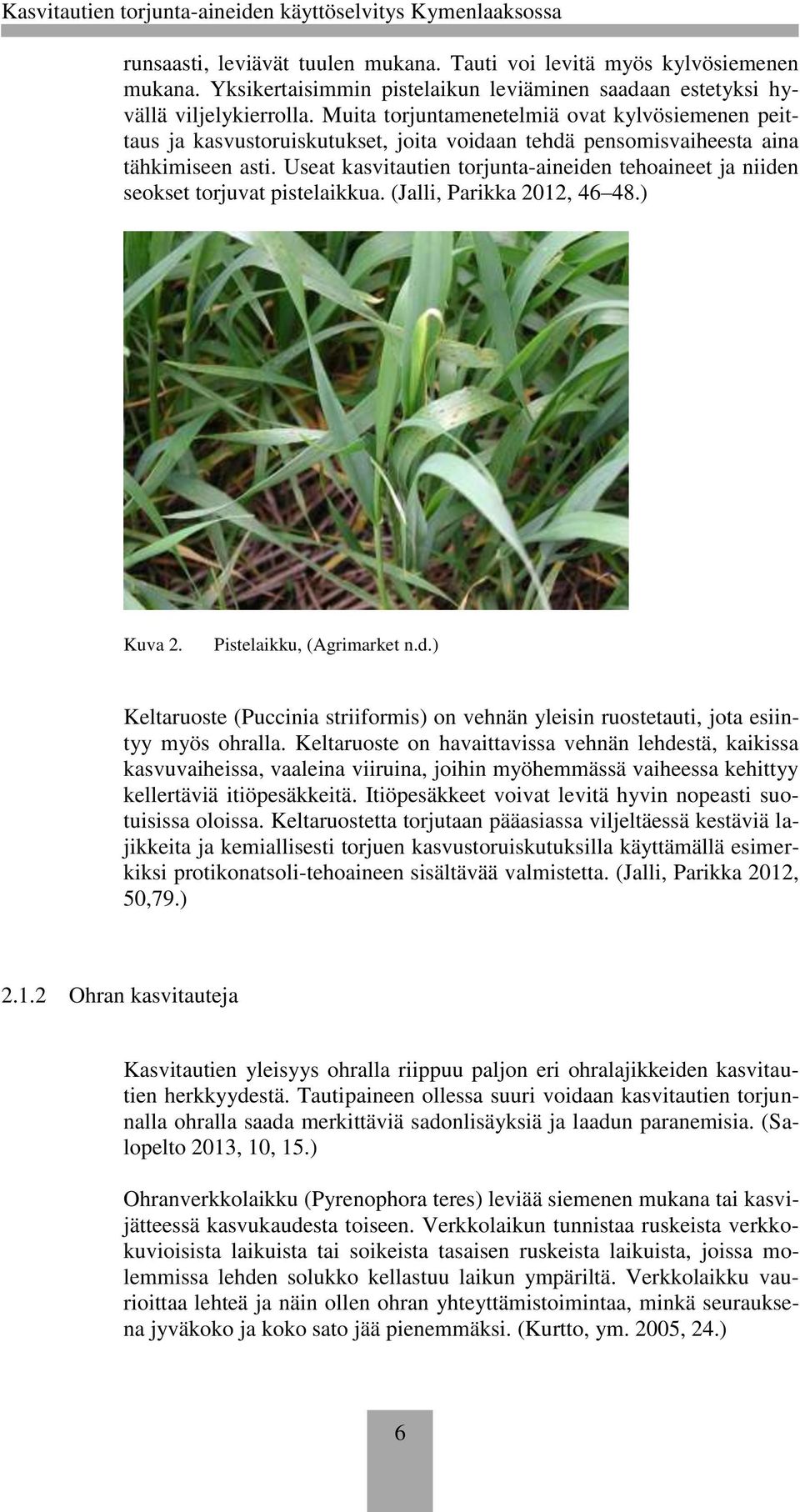 Useat kasvitautien torjunta-aineiden tehoaineet ja niiden seokset torjuvat pistelaikkua. (Jalli, Parikka 2012, 46 48.) Kuva 2. Pistelaikku, (Agrimarket n.d.) Keltaruoste (Puccinia striiformis) on vehnän yleisin ruostetauti, jota esiintyy myös ohralla.