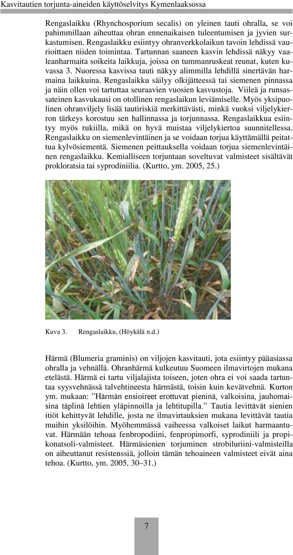 Tartunnan saaneen kasvin lehdissä näkyy vaaleanharmaita soikeita laikkuja, joissa on tummanruskeat reunat, kuten kuvassa 3.