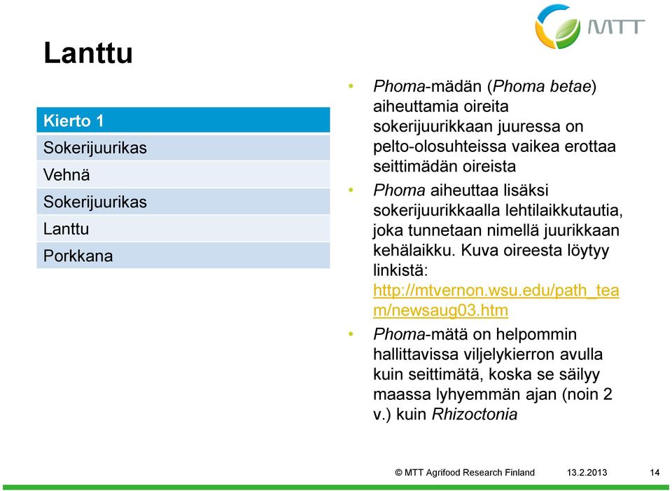 kehälaikku. Kuva oireesta löytyy linkistä: http://mtvernon.wsu.edu/path_tea m/newsaug03.