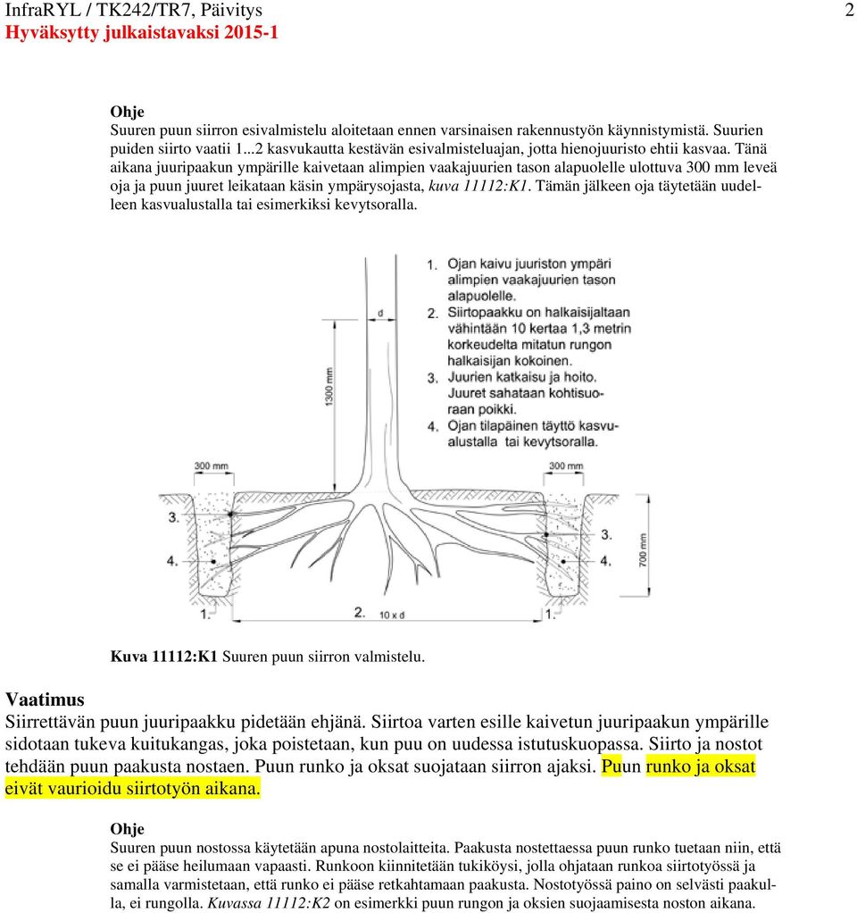 Tänä aikana juuripaakun ympärille kaivetaan alimpien vaakajuurien tason alapuolelle ulottuva 300 mm leveä oja ja puun juuret leikataan käsin ympärysojasta, kuva 11112:K1.