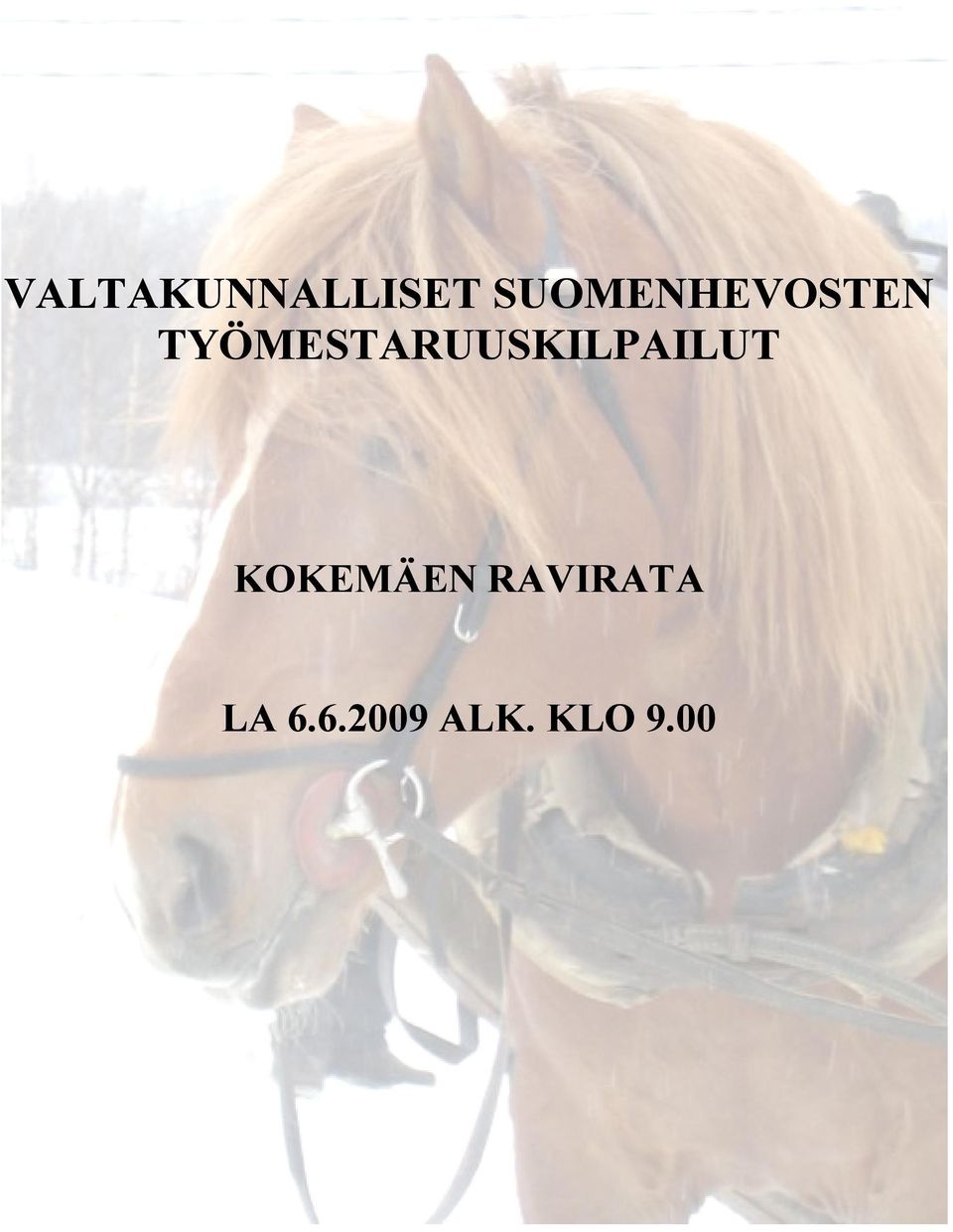 TYÖMESTARUUSKILPAILUT