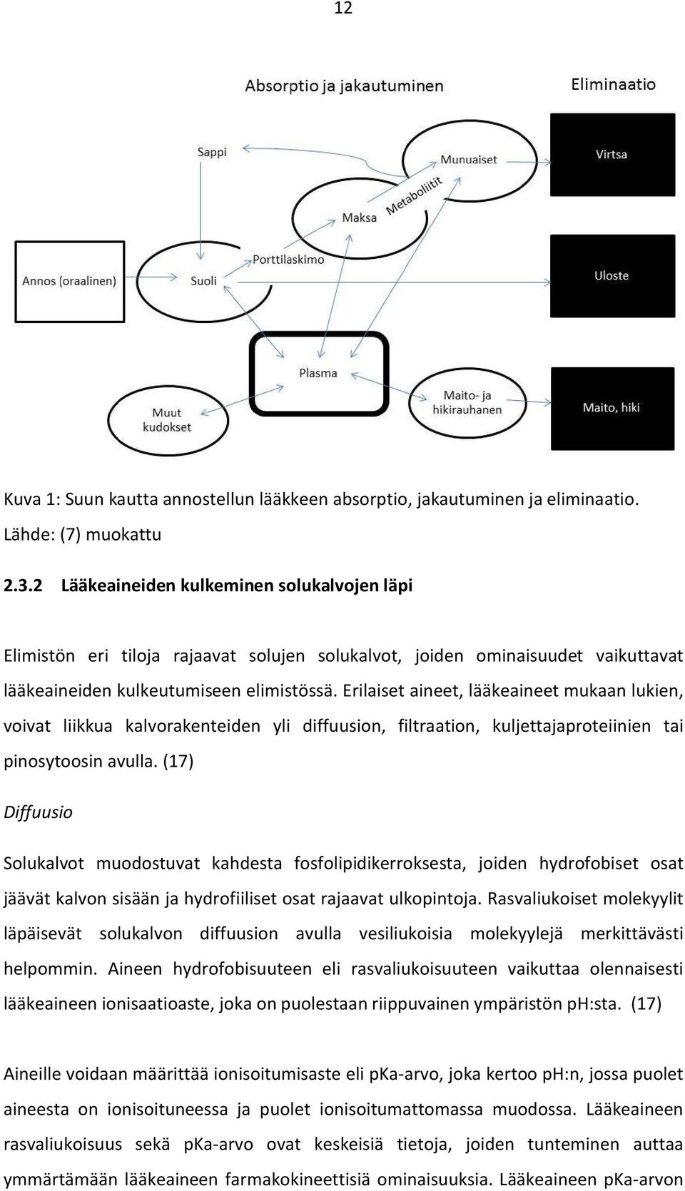 Erilaiset aineet, lääkeaineet mukaan lukien, voivat liikkua kalvorakenteiden yli diffuusion, filtraation, kuljettajaproteiinien tai pinosytoosin avulla.