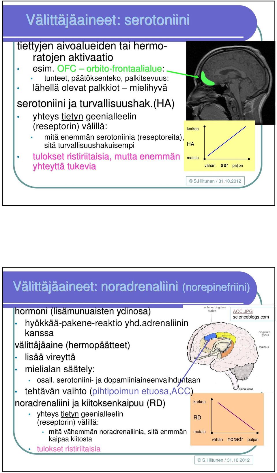 (ha) yhteys tietyn geenialleelin (reseptorin) välillä: mitä enemmän serotoniinia (reseptoreita), sitä turvallisuushakuisempi tulokset ristiriitaisia, mutta enemmän yhteyttä tukevia korkea HA matala