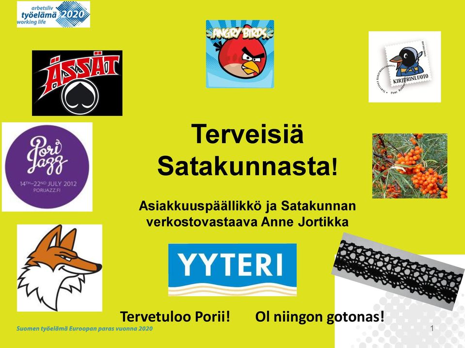 Satakunnan verkostovastaava