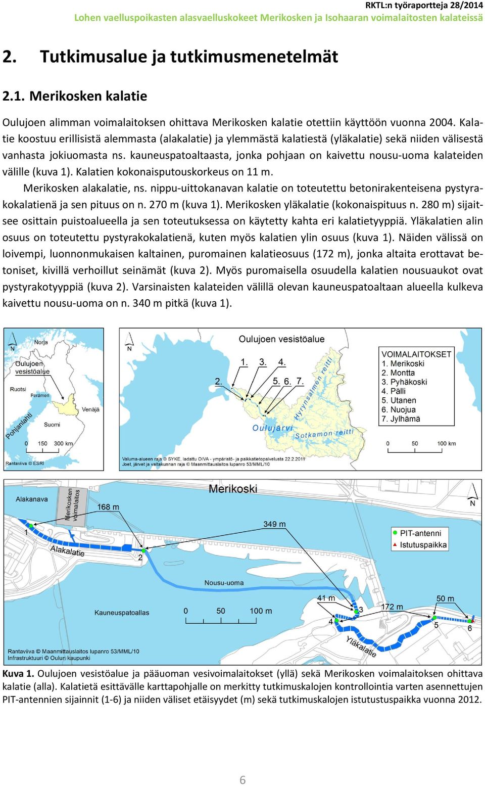 kauneuspatoaltaasta, jonka pohjaan on kaivettu nousu-uoma kalateiden välille (kuva 1). Kalatien kokonaisputouskorkeus on 11 m. Merikosken alakalatie, ns.