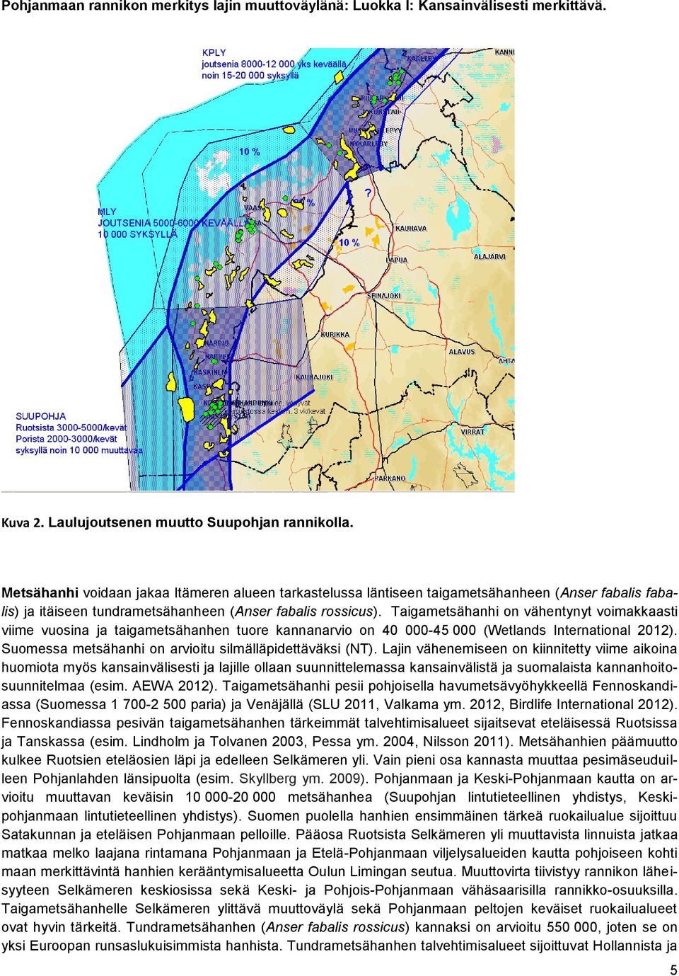 Taigametsähanhi on vähentynyt voimakkaasti viime vuosina ja taigametsähanhen tuore kannanarvio on 40 000-45 000 (Wetlands International 2012).