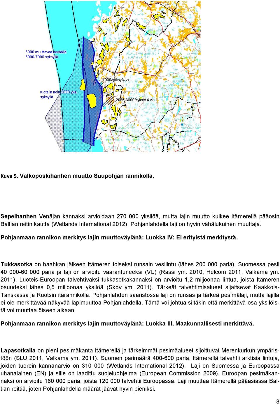 Pohjanlahdella laji on hyvin vähälukuinen muuttaja. Pohjanmaan rannikon merkitys lajin muuttoväylänä: Luokka IV: Ei erityistä merkitystä.