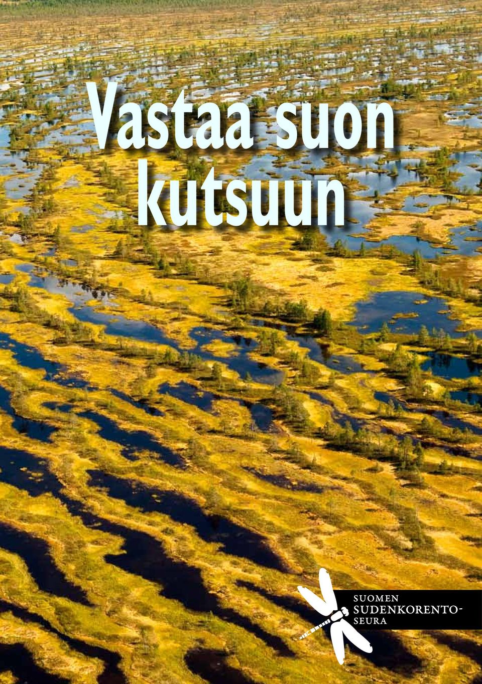 kutsuun