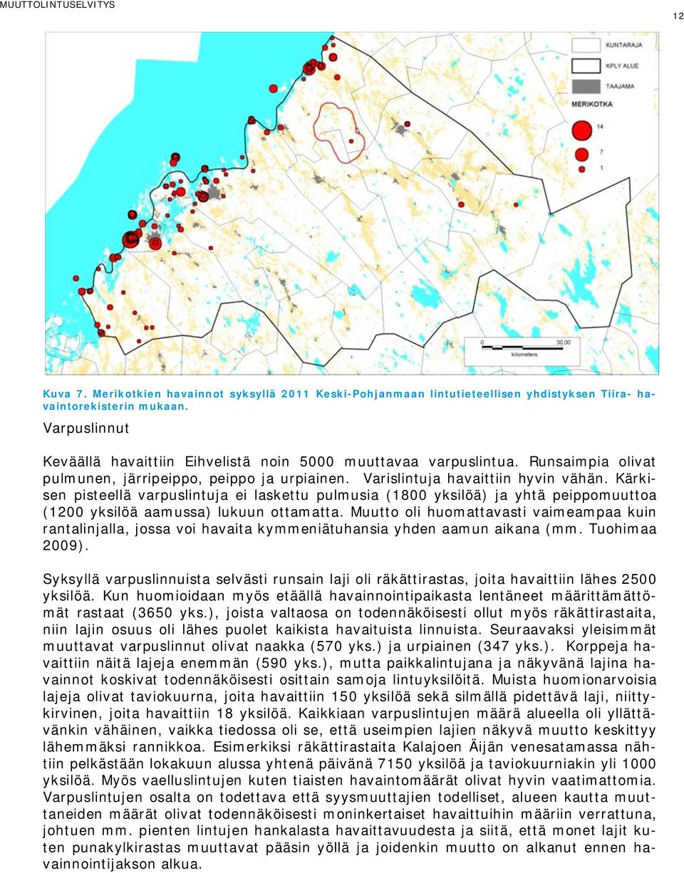 Kärkisen pisteellä varpuslintuja ei laskettu pulmusia (1800 yksilöä) ja yhtä peippomuuttoa (1200 yksilöä aamussa) lukuun ottamatta.