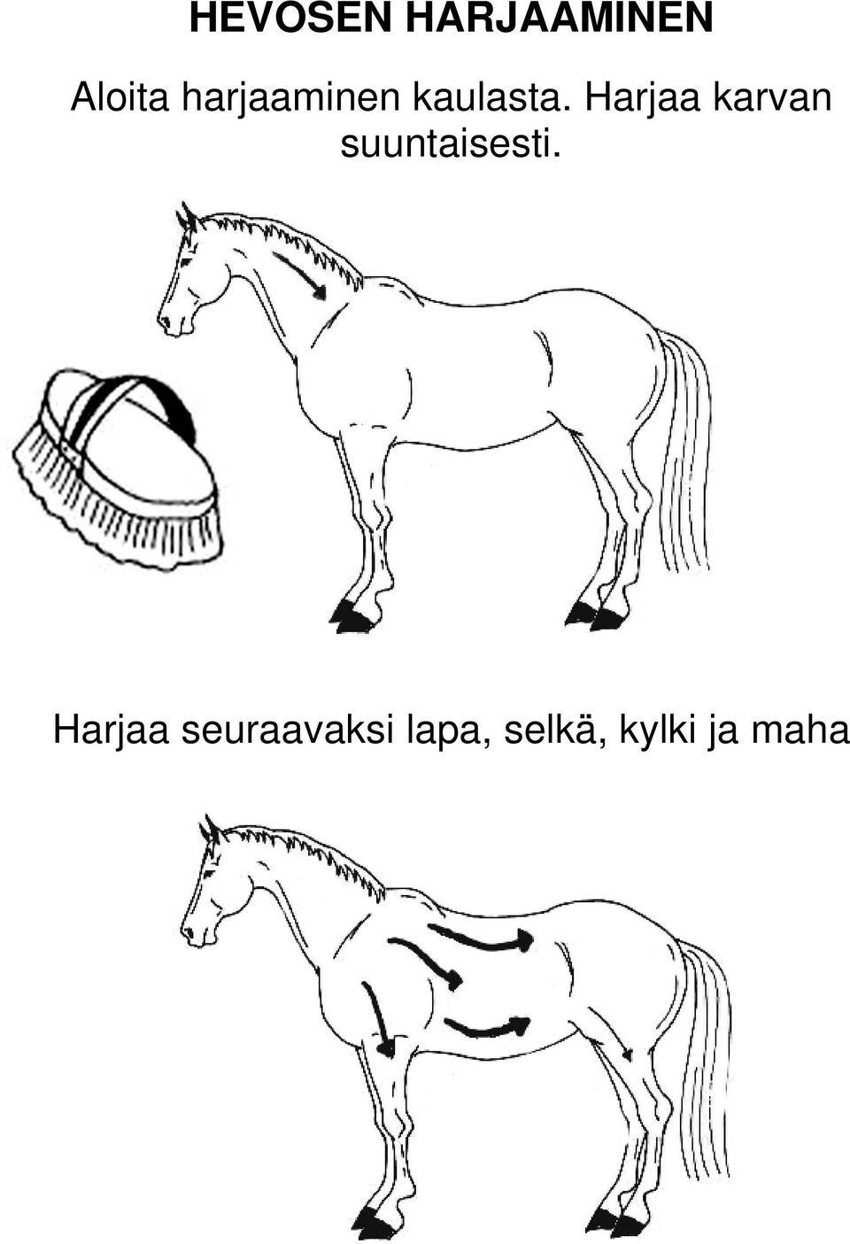 Harjaa karvan suuntaisesti.