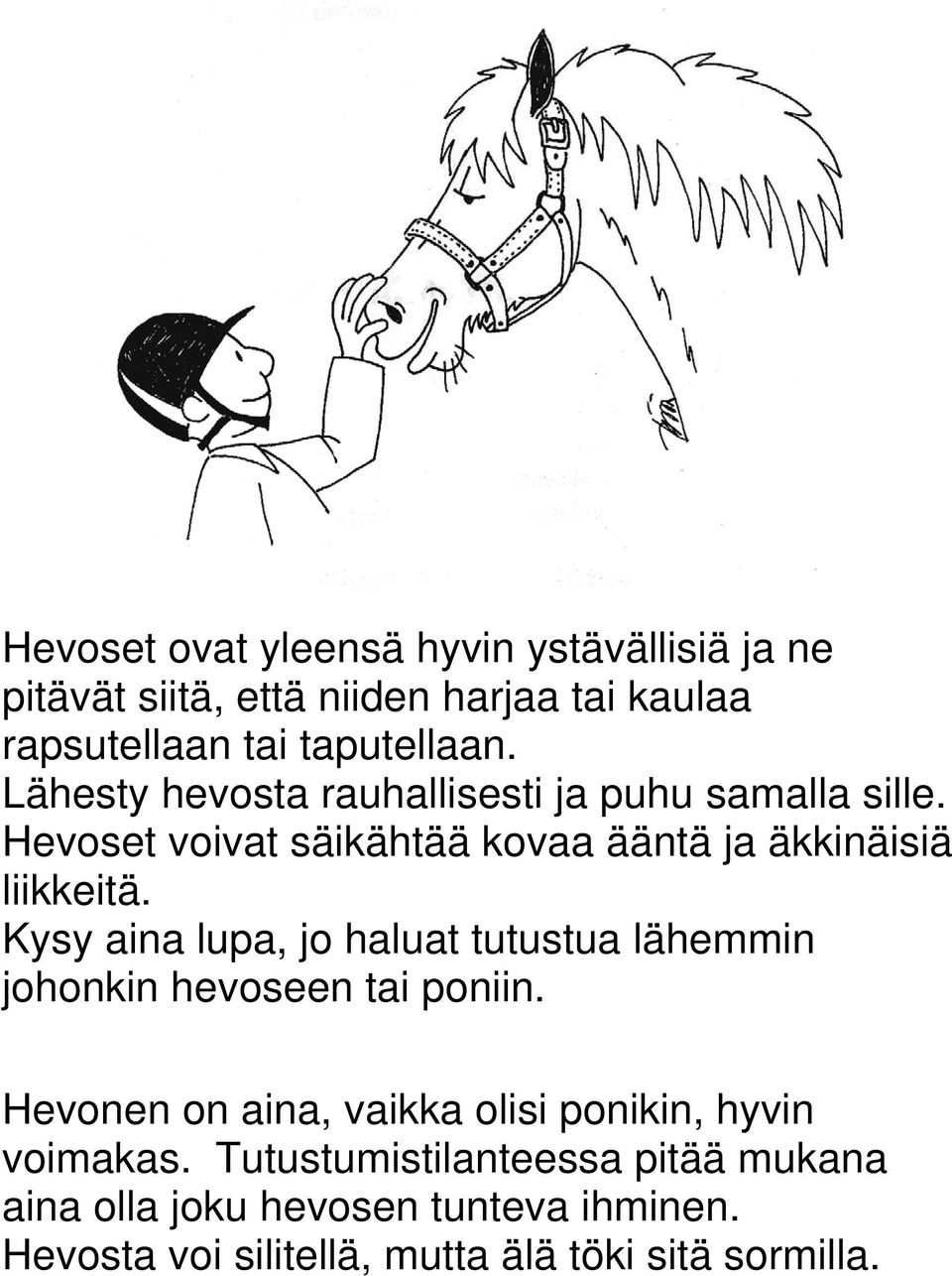 Kysy aina lupa, jo haluat tutustua lähemmin johonkin hevoseen tai poniin.