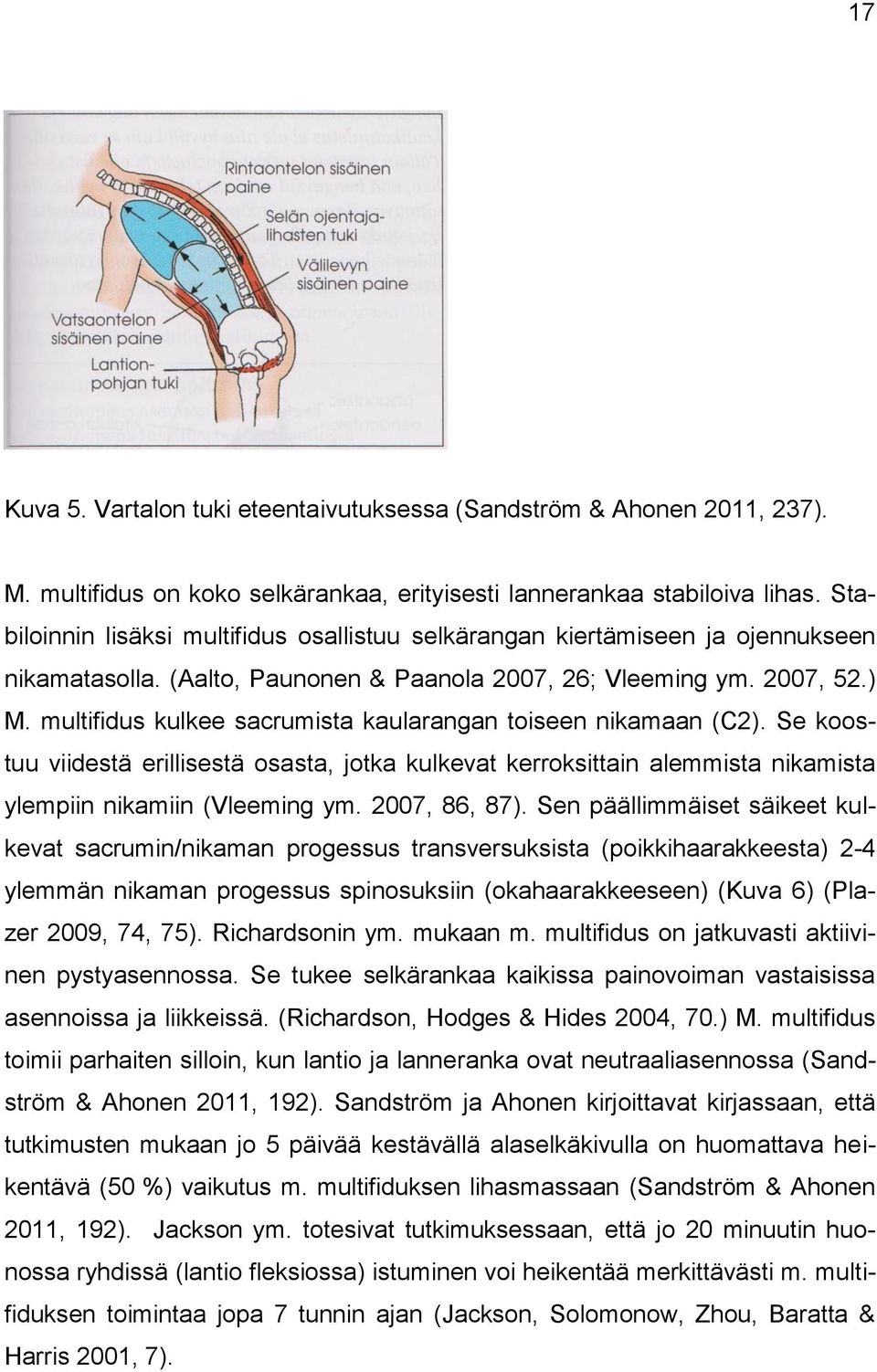 multifidus kulkee sacrumista kaularangan toiseen nikamaan (C2). Se koostuu viidestä erillisestä osasta, jotka kulkevat kerroksittain alemmista nikamista ylempiin nikamiin (Vleeming ym. 2007, 86, 87).