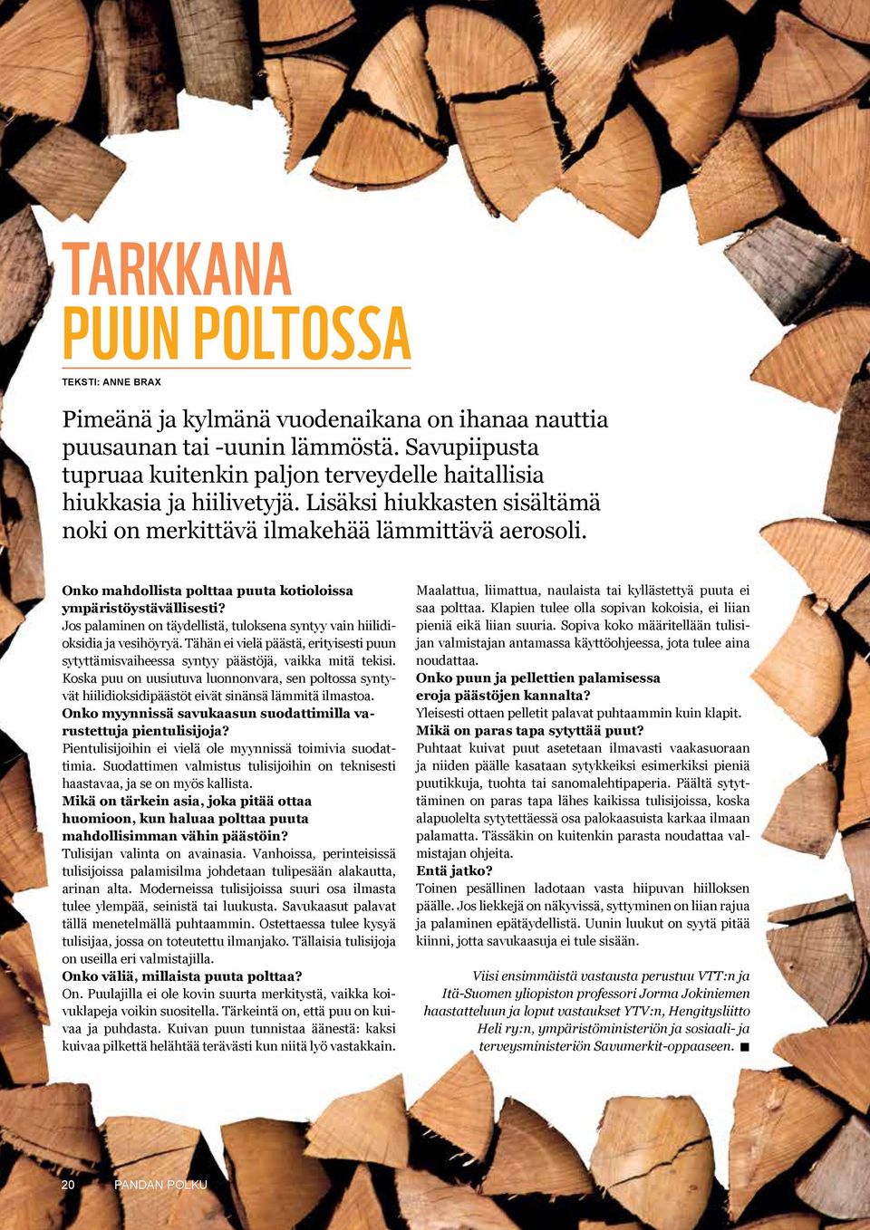 Onko mahdollista polttaa puuta kotioloissa ympäristöystävällisesti? Jos palaminen on täydellistä, tuloksena syntyy vain hiilidioksidia ja vesihöyryä.