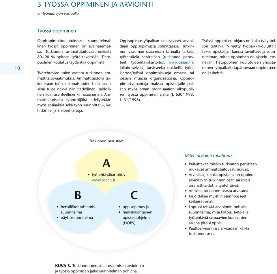 Ammattitaidolla tarkoitetaan työn kokonaisuuden hallintaa ja siinä tulee näkyä niin tiedollinen, taidollinen kuin asenteellinenkin osaaminen.