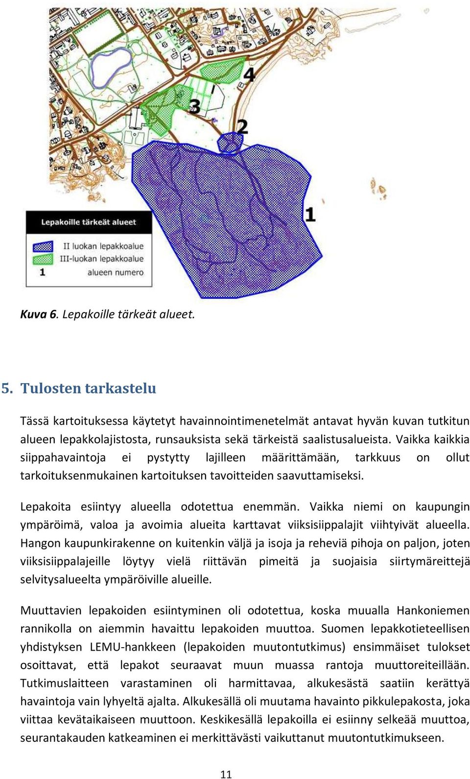 Vaikka kaikkia siippahavaintoja ei pystytty lajilleen määrittämään, tarkkuus on ollut tarkoituksenmukainen kartoituksen tavoitteiden saavuttamiseksi. Lepakoita esiintyy alueella odotettua enemmän.