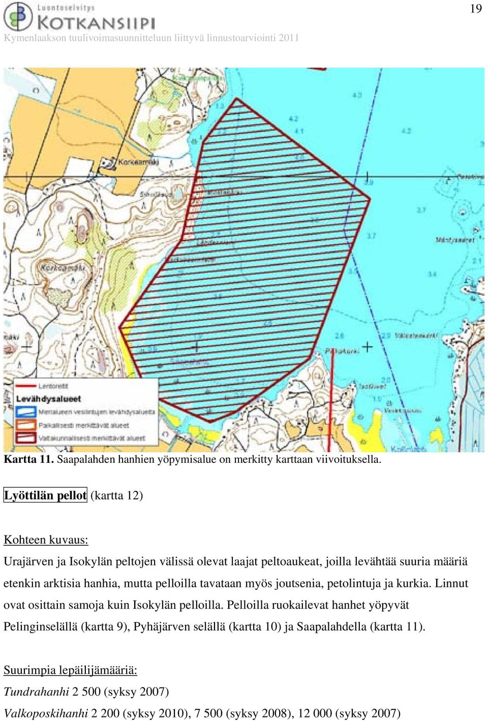 hanhia, mutta pelloilla tavataan myös joutsenia, petolintuja ja kurkia. Linnut ovat osittain samoja kuin Isokylän pelloilla.